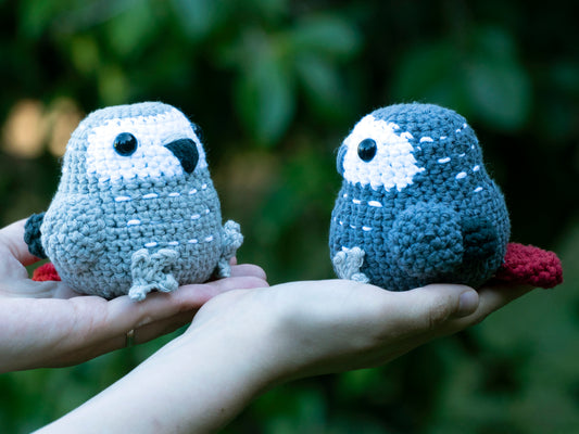 Made to Order: African Grey