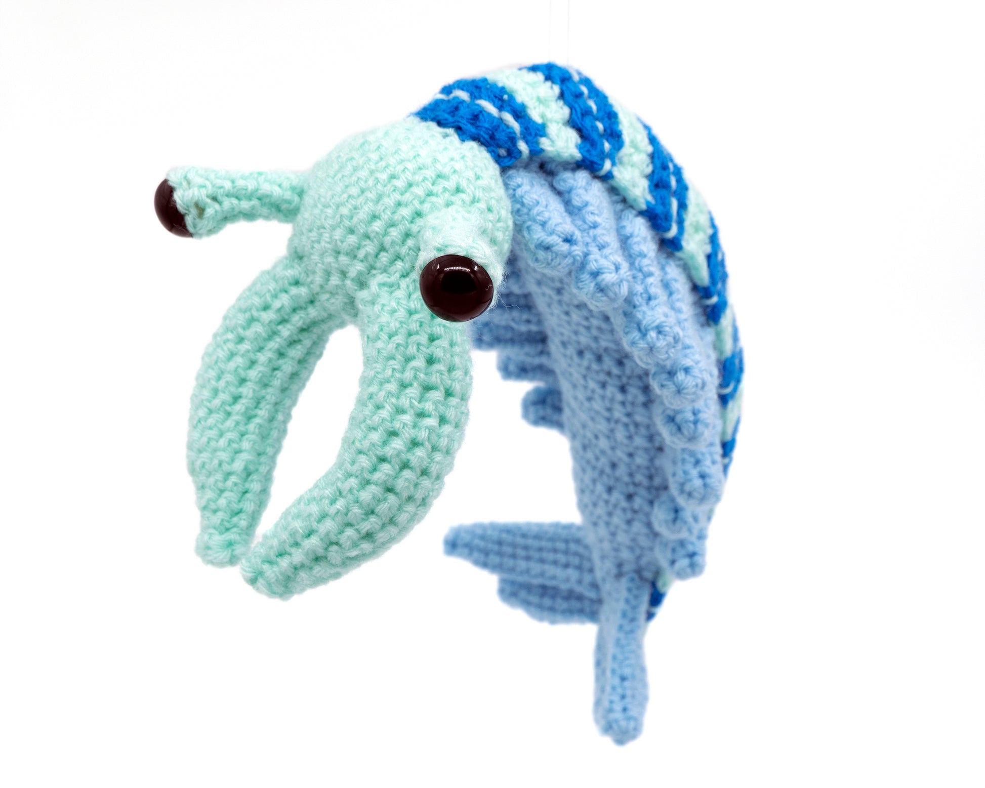 amigurumi crochet anomalocaris pattern front view 