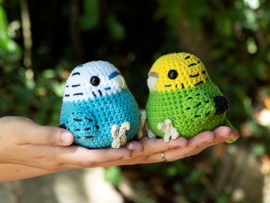 Made to Order: Budgie