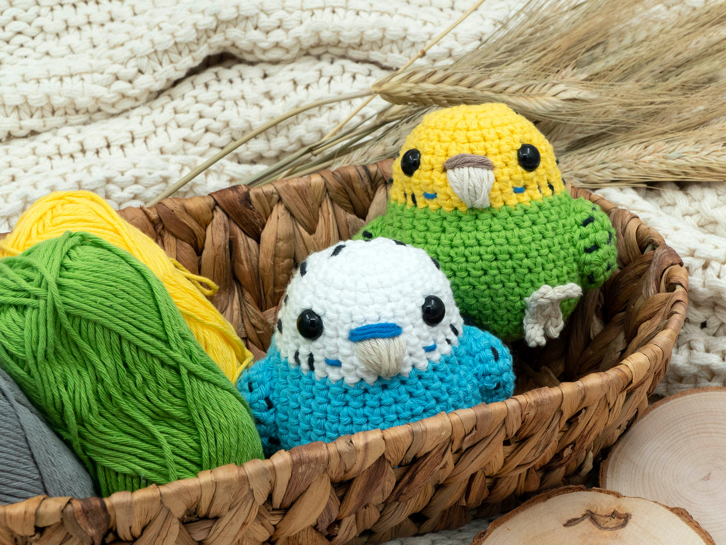 Made to Order: Budgie