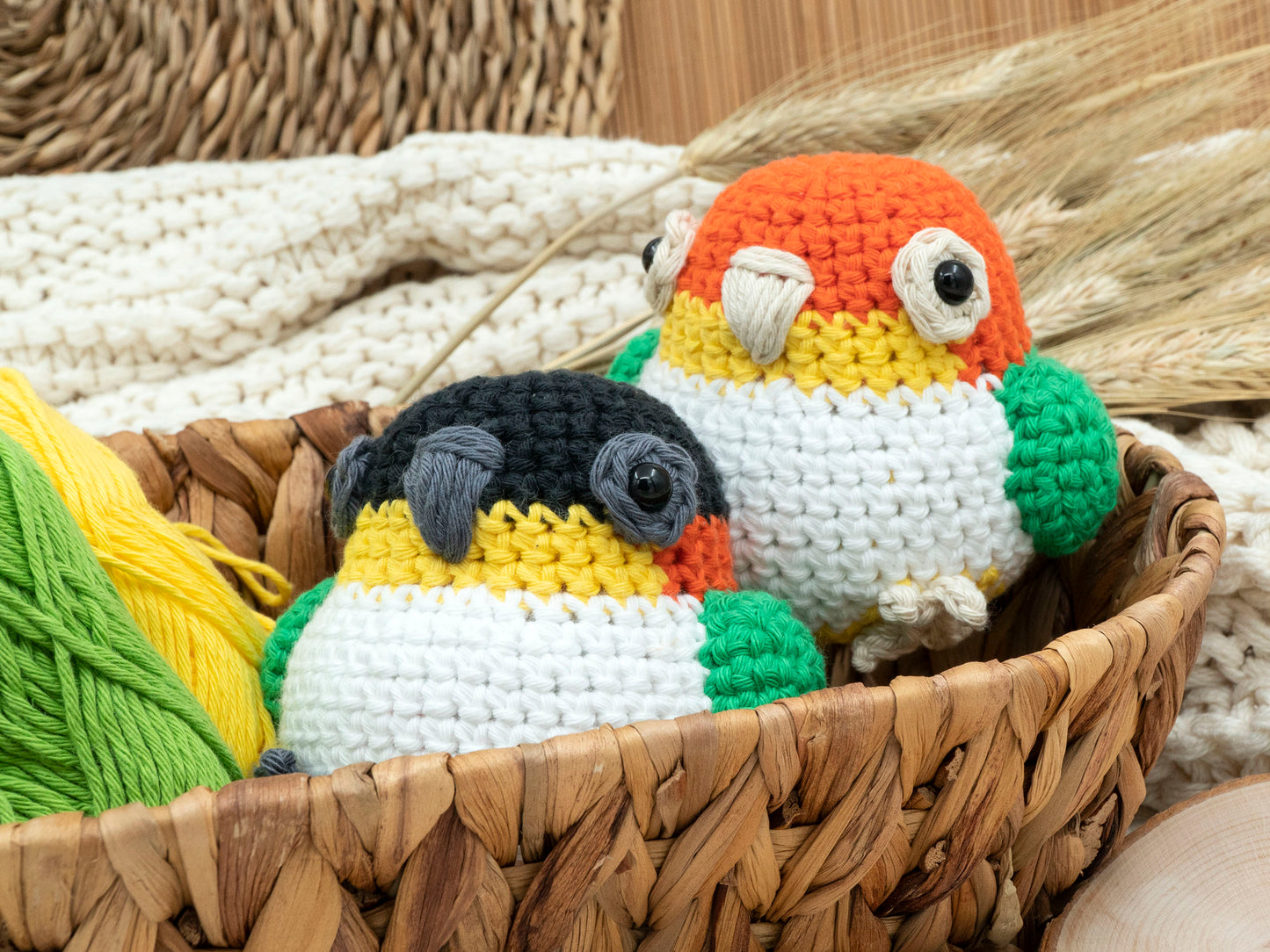 Made to Order: Caique