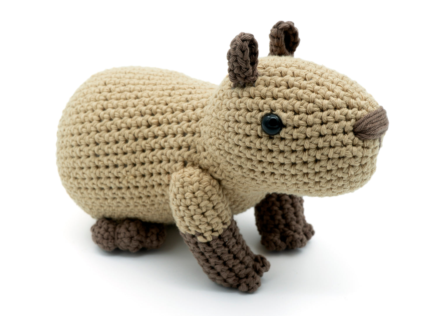 amigurumi crochet capybara close up of nose