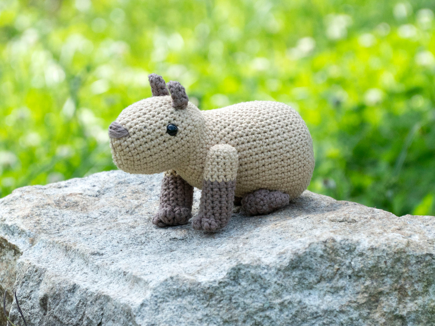 Made to Order: Capybara