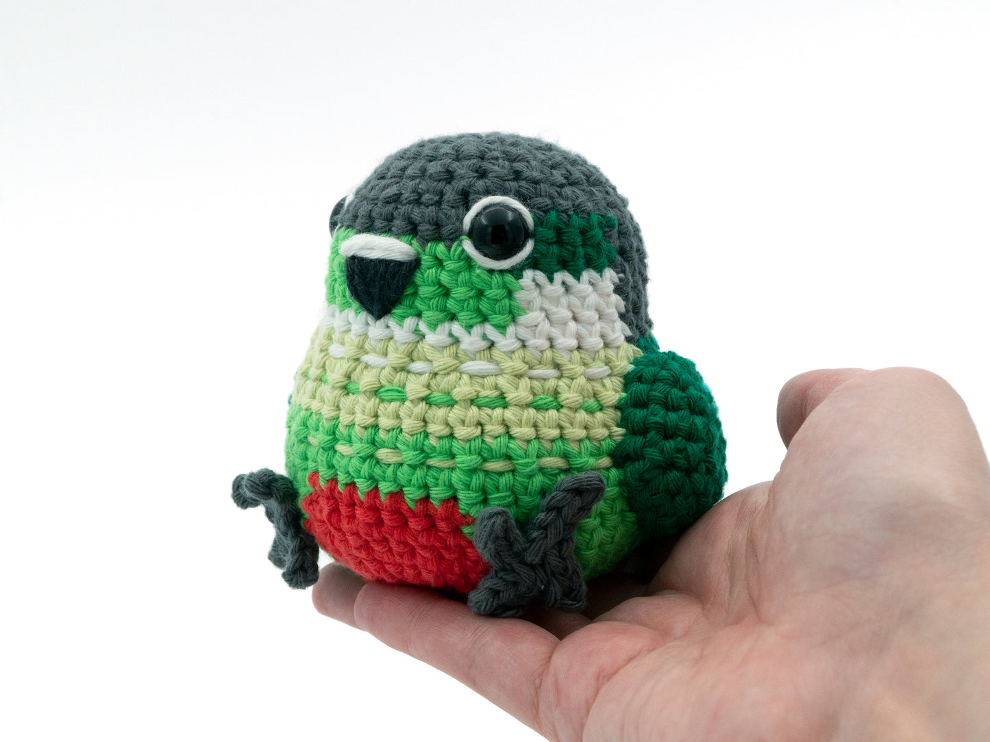 Made to Order: Green-Cheek Conure