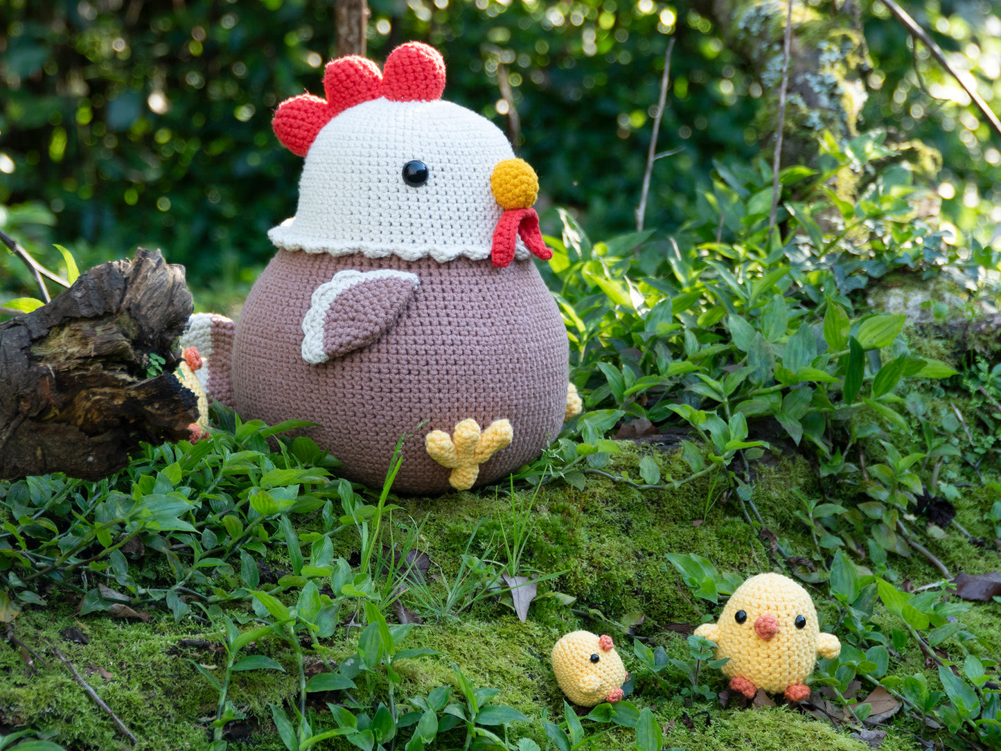 Made to Order: Hen and Chicks (Big or Little)