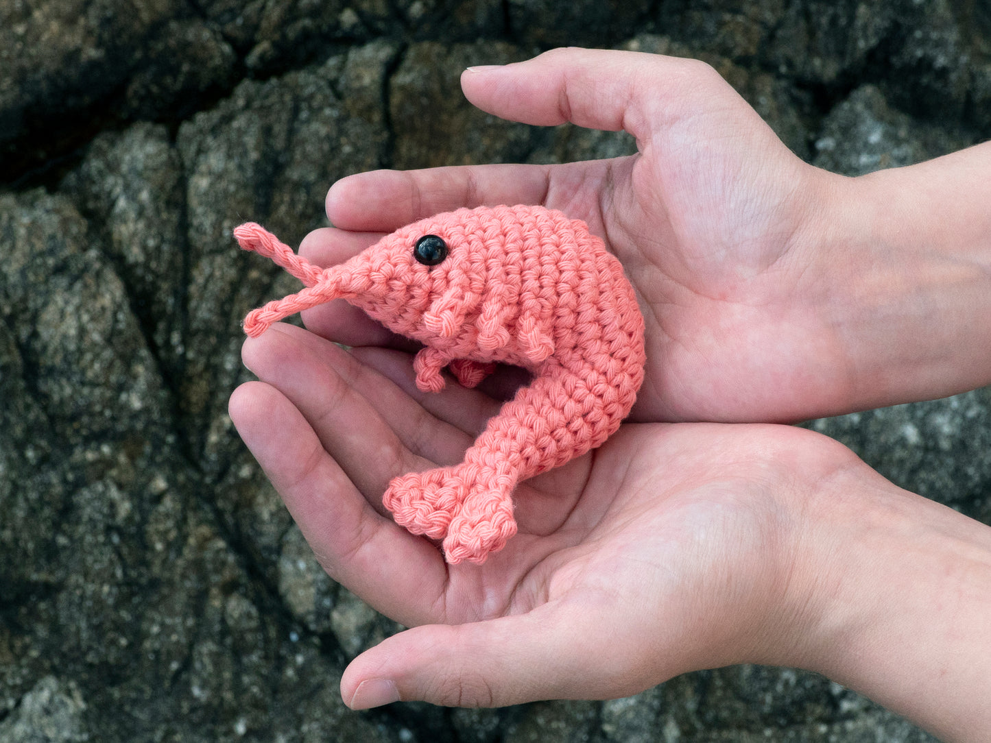 a cute little crochet shrimp visiting the beach