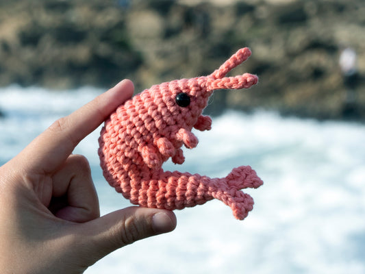 a crochet shrimp in front of the ocean