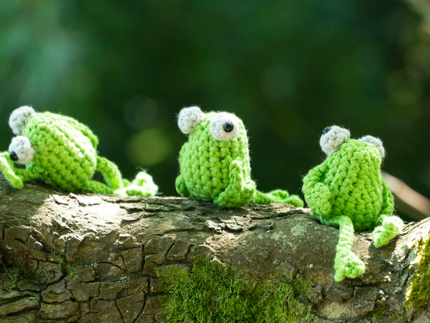Made to Order: Sitting Frog