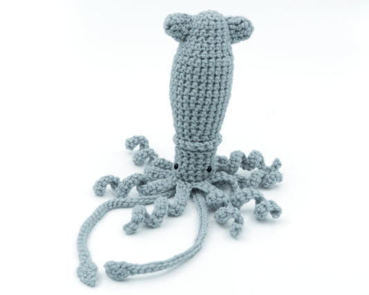 amigurumi crochet squid pattern front view with tentacles
