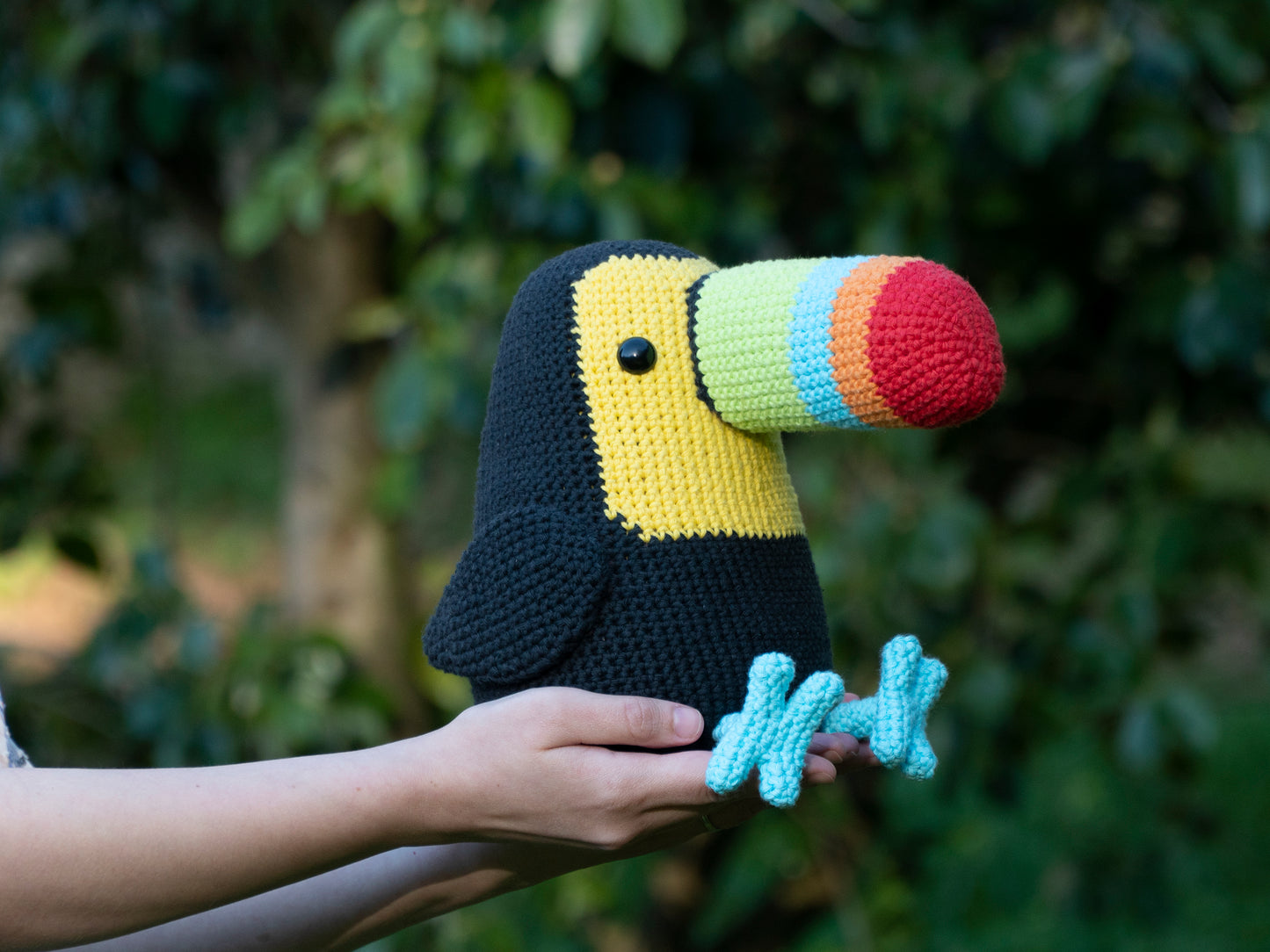 Made to Order: Toucan (Big or Little)