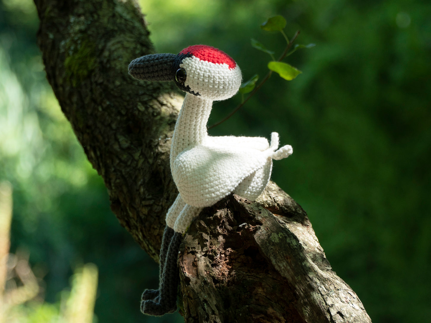Made to Order: Whooping Crane