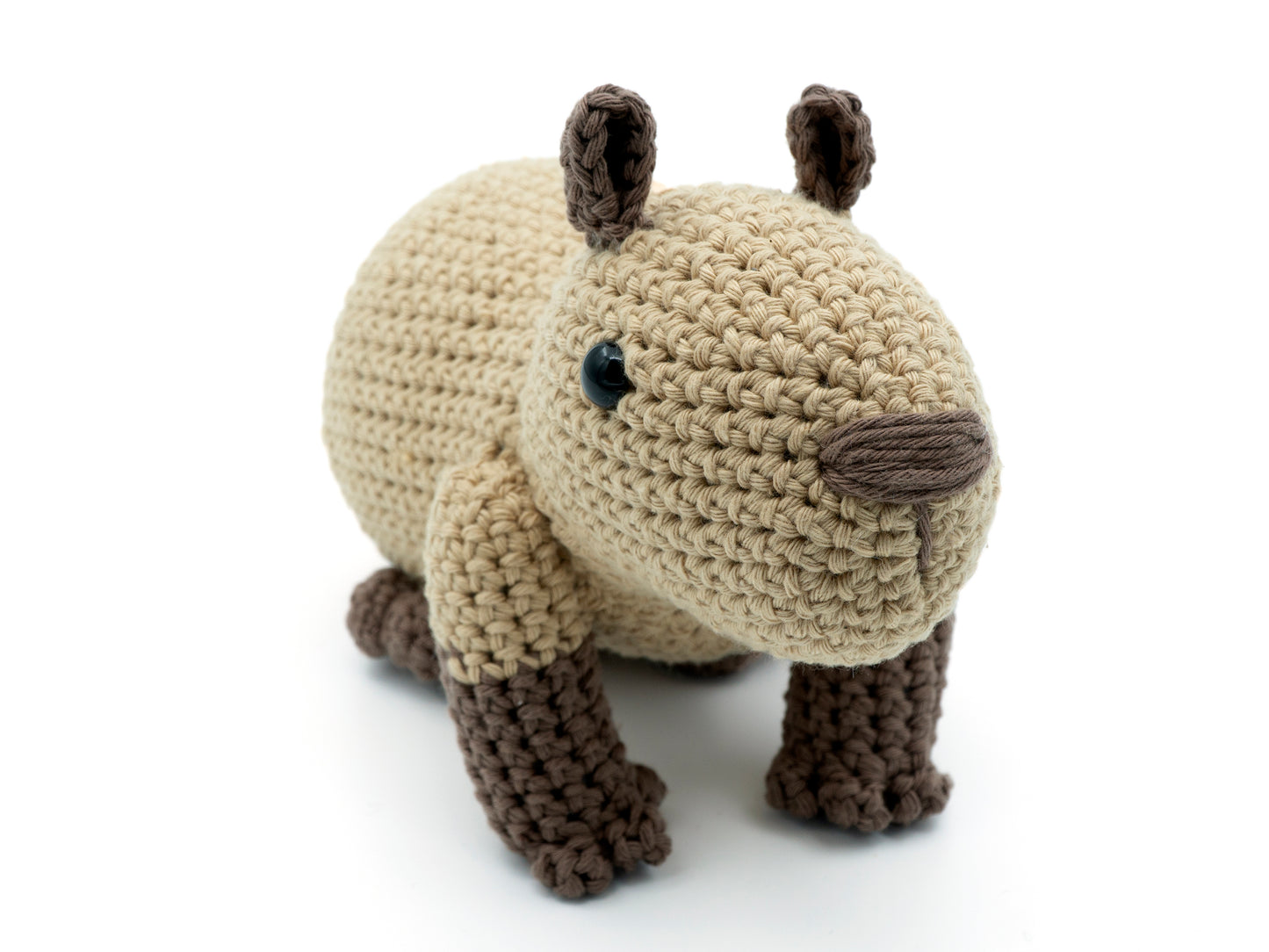 amigurumi crochet capybara pattern front view