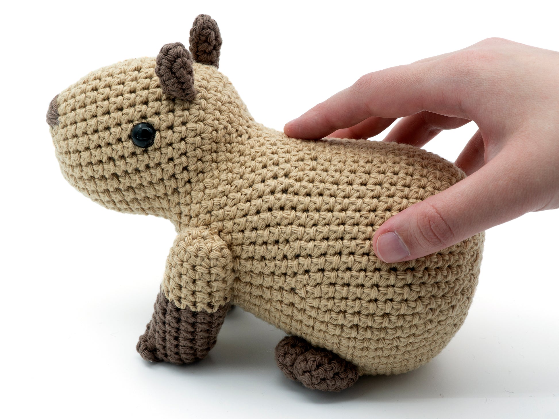 amigurumi crochet capybara pattern in hand for size comparison