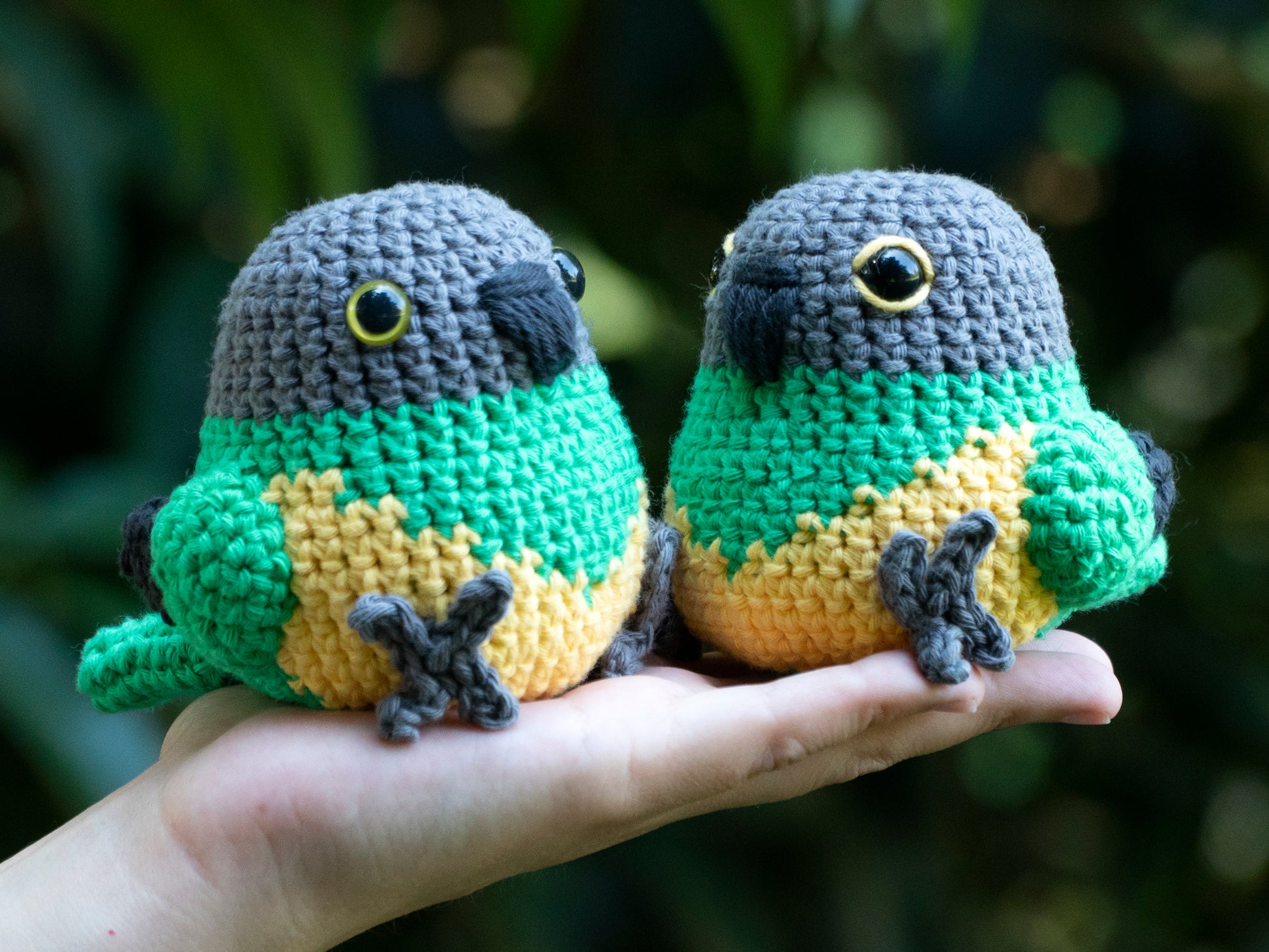 handmade crochet senegal parrot amigurumi plush with painted and embroidered eyes sitting on a hand outside for size comparison