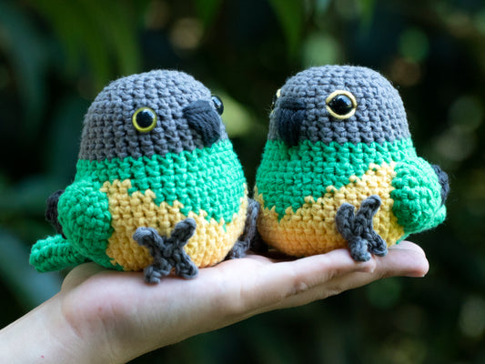 handmade crochet senegal parrot amigurumi plush with painted and embroidered eyes sitting on a hand outside for size comparison