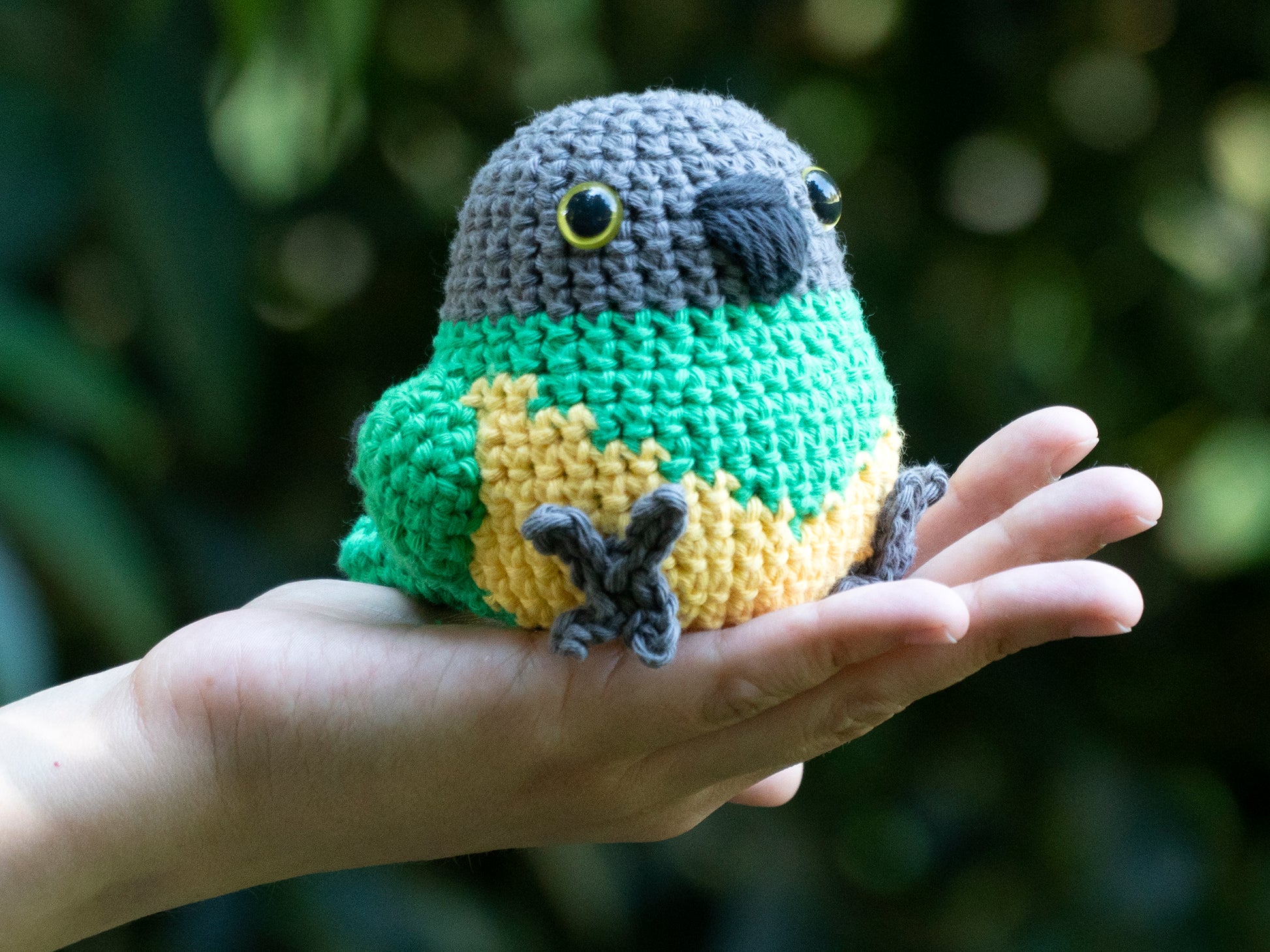 handmade crochet senegal parrot amigurumi plush with painted eyes being held for size comparison