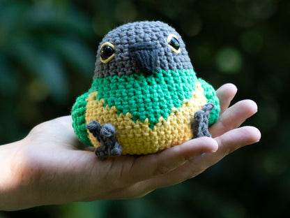handmade crochet senegal parrot amigurumi plush with embroidered eyes being held for size comparison